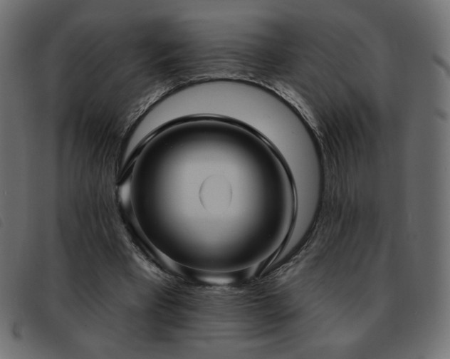 X0000093580393200710151149