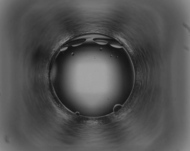 X0000093580394200710151149