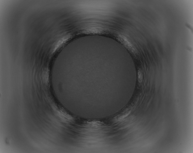 X0000093580396200710151149