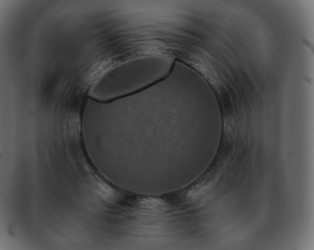X0000093580397200710151149