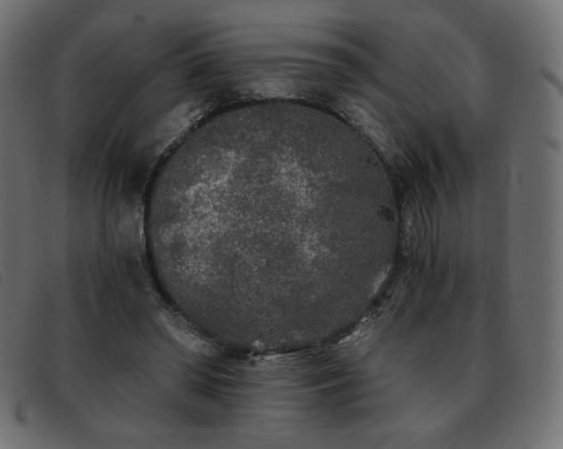 X0000093580398200710151149