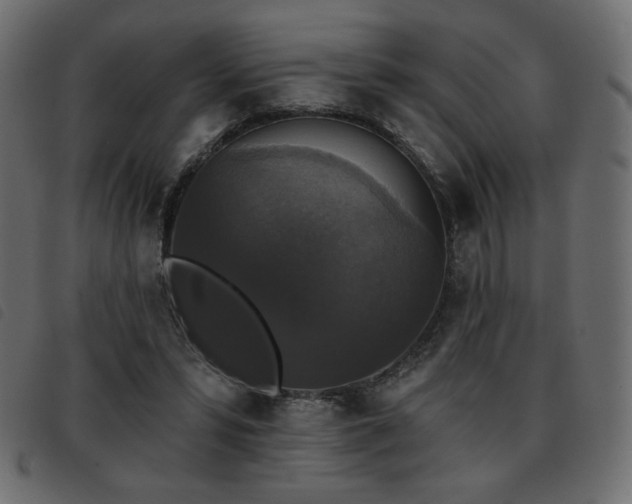 X0000093580399200710151149