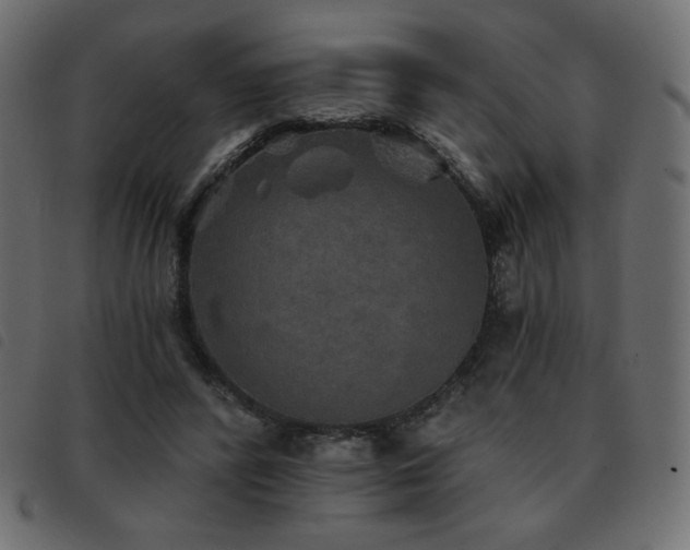 X0000093580400200710151149