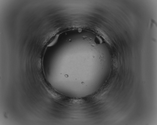 X0000093580401200710151149