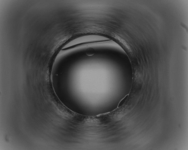 X0000093580403200710151149