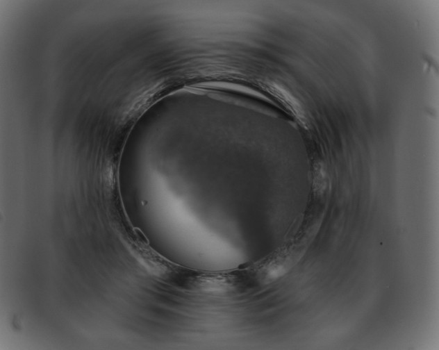 X0000093580405200710151149