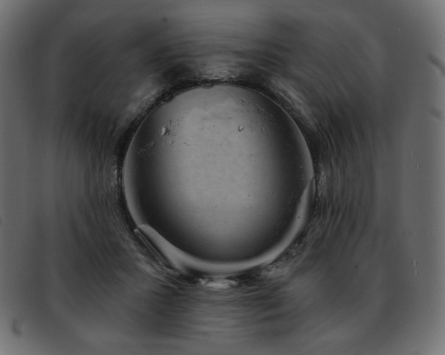 X0000093580407200710151149