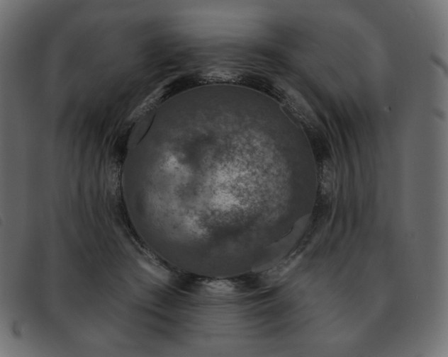 X0000093580409200710151149