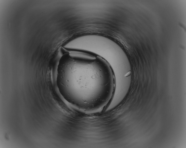 X0000093580411200710151149
