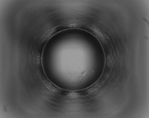 X0000093580413200710151149