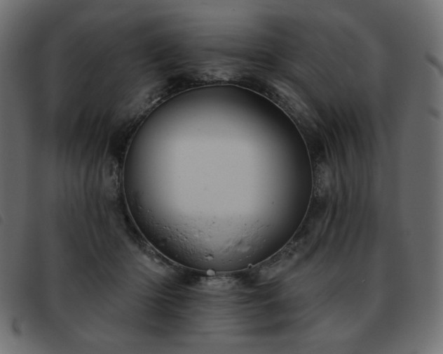 X0000093580414200710151149