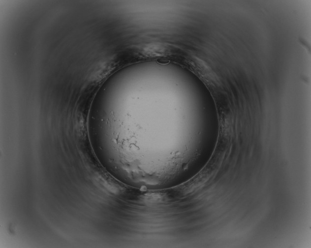 X0000093580418200710151149
