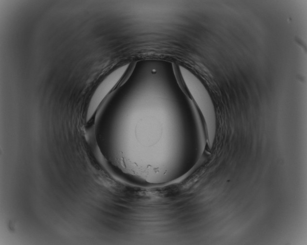 X0000093580419200710151149