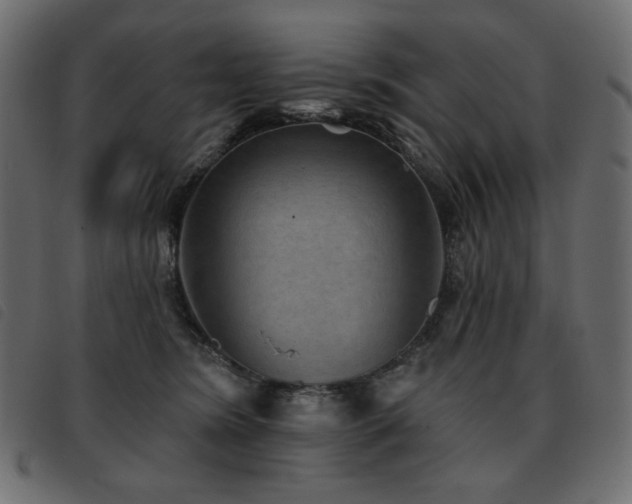 X0000093580420200710151149