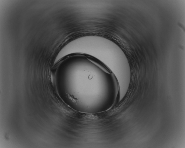 X0000093580421200710151149