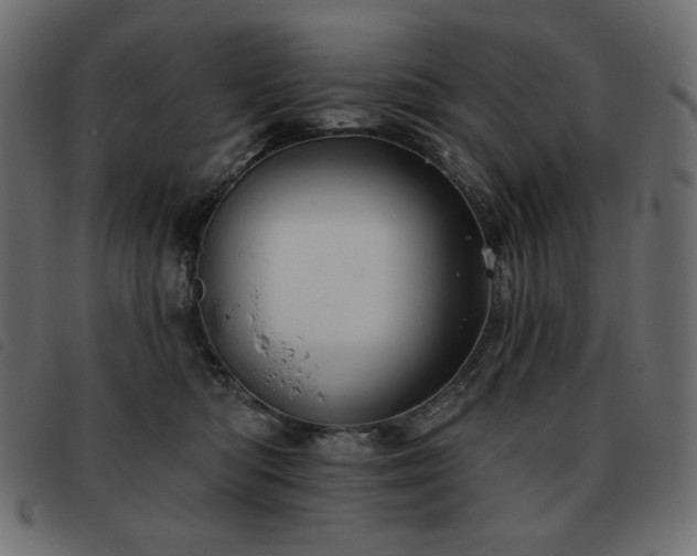 X0000093580422200710151149
