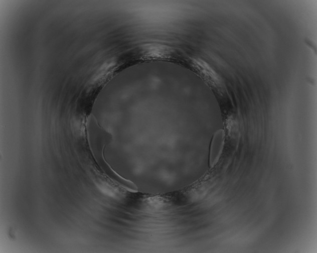 X0000093580423200710151149