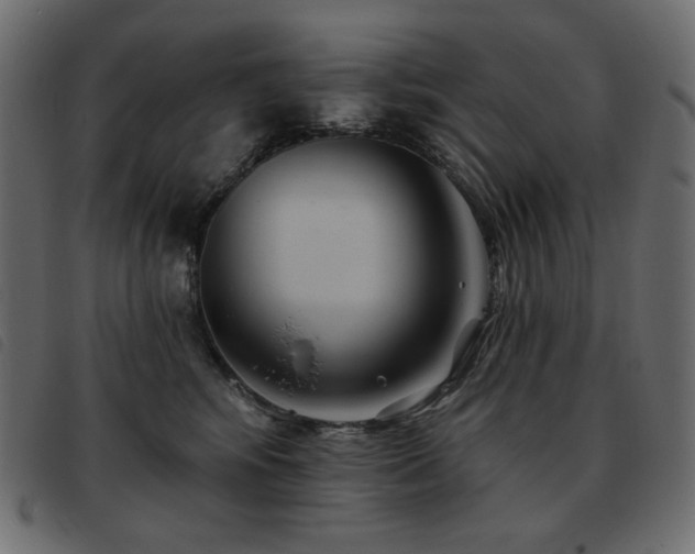 X0000093580424200710151149