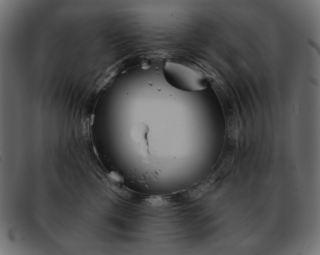 X0000093580425200710151149