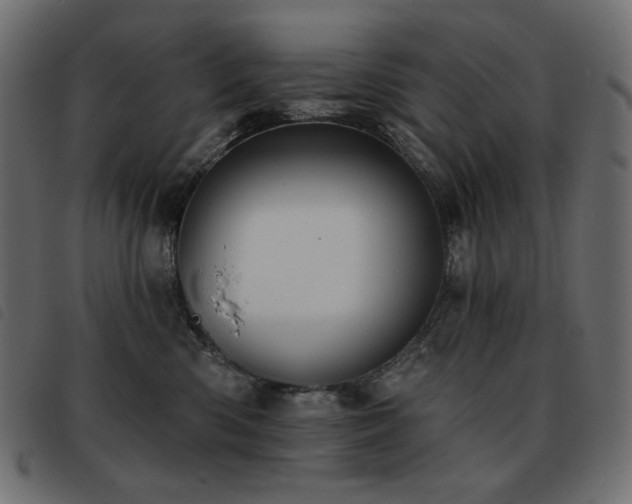 X0000093580426200710151149