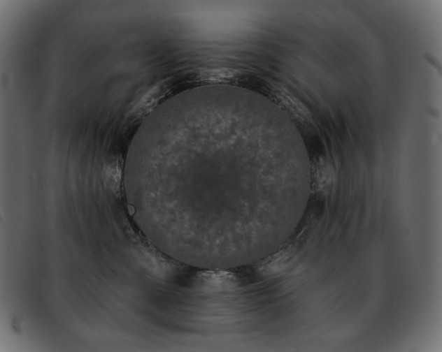 X0000093580427200710151149