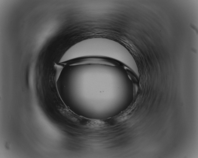 X0000093580429200710151148