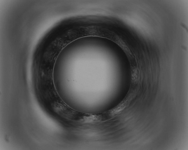 X0000093580430200710151148