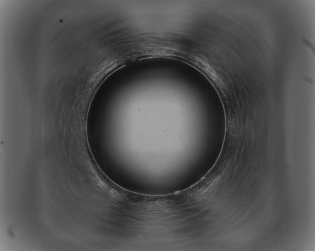 X0000093580433200710151148