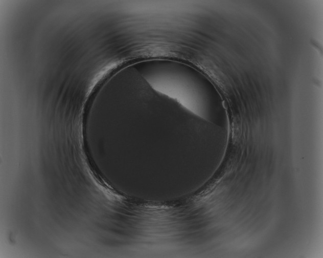 X0000093580438200710151148