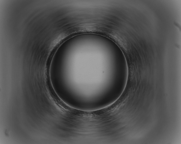 X0000093580439200710151148