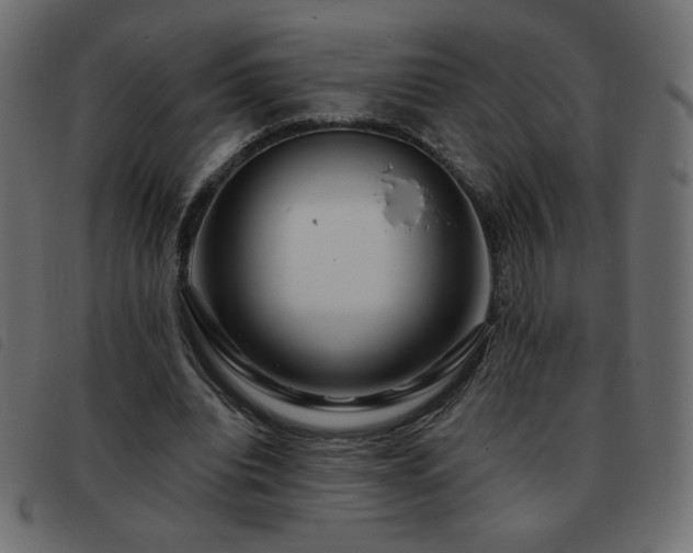 X0000093580440200710151148