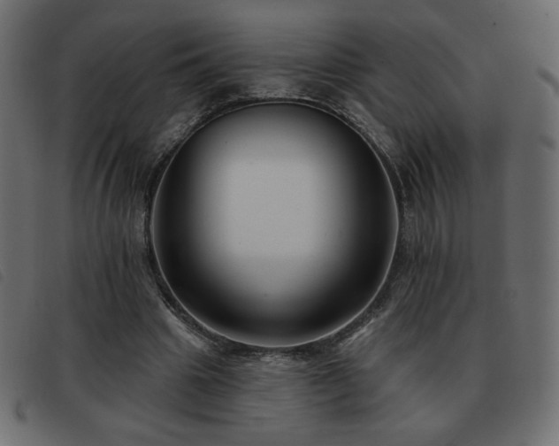 X0000093580441200710151148