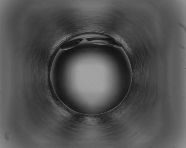 X0000093580442200710151148