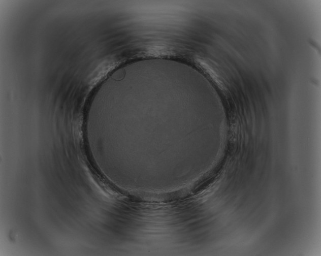 X0000093580443200710151148