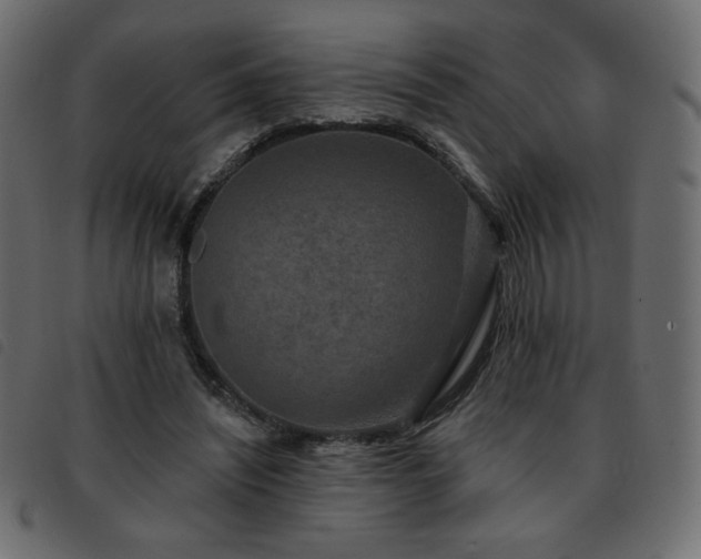 X0000093580444200710151148