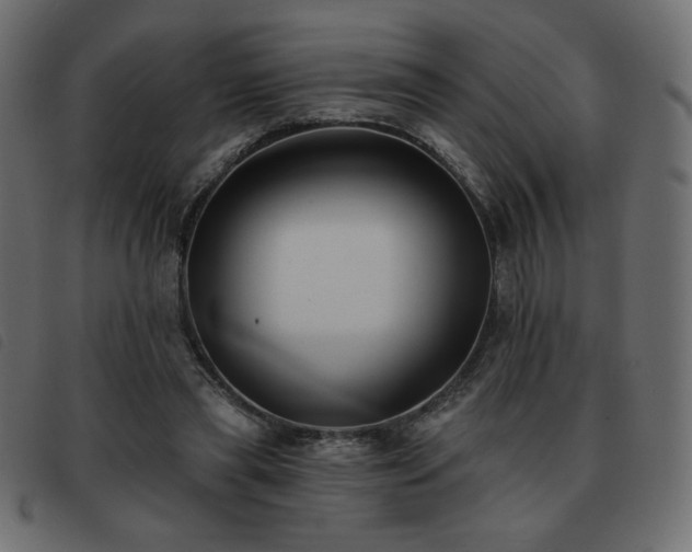 X0000093580445200710151148