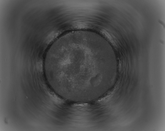 X0000093580447200710151148