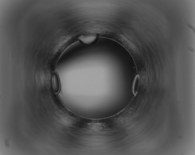 X0000093580448200710151148