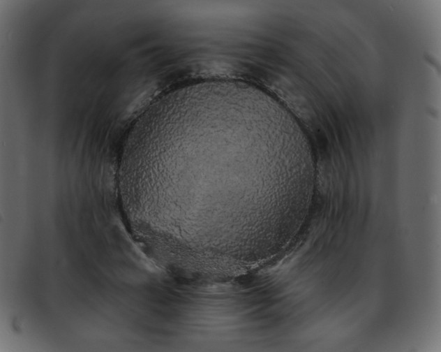 X0000093580449200710151148