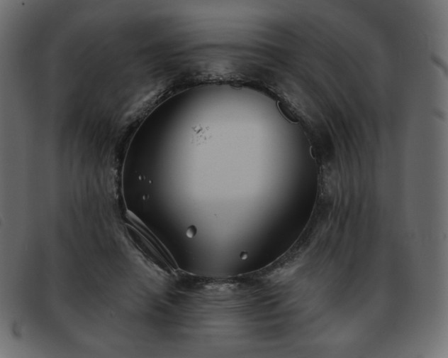 X0000093580450200710151148