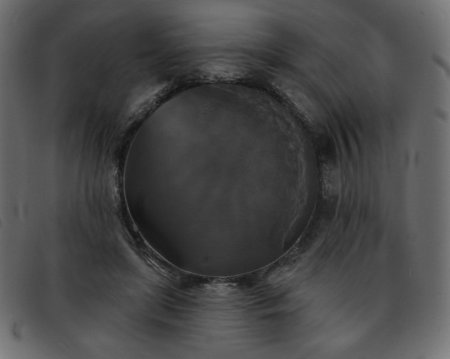 X0000093580451200710151148