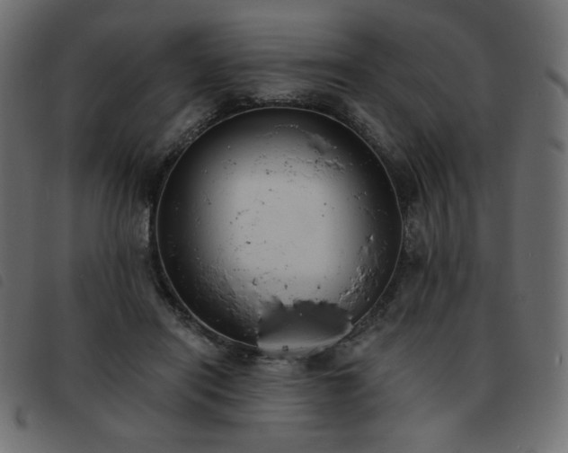 X0000093580454200710151148