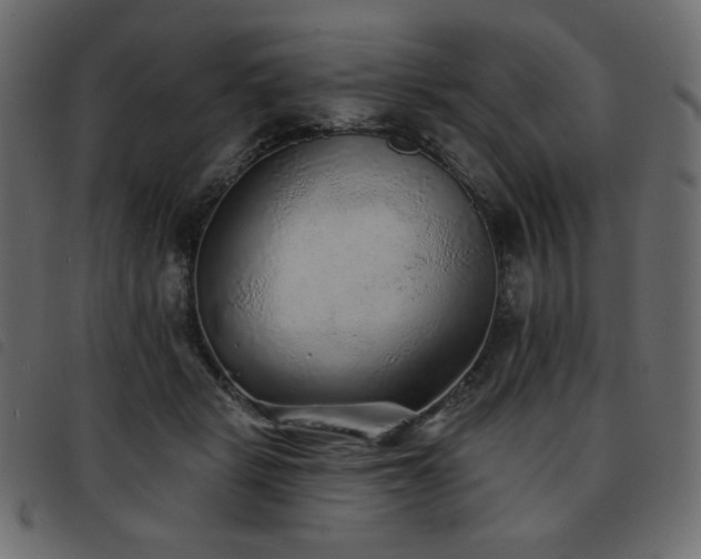 X0000093580461200710151148
