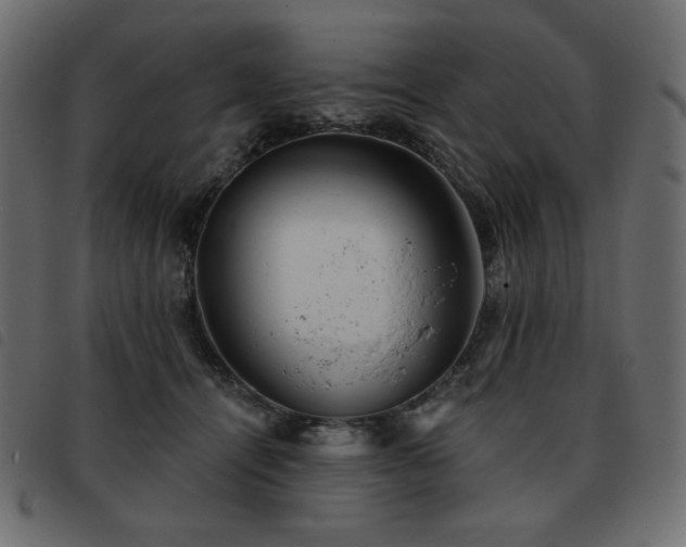 X0000093580464200710151148