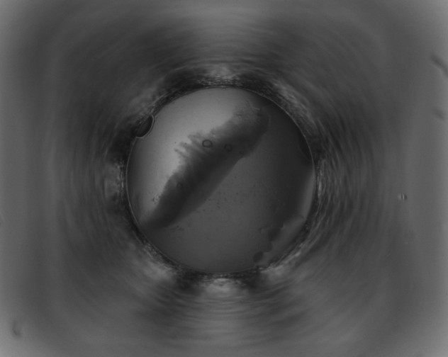 X0000093580467200710151148
