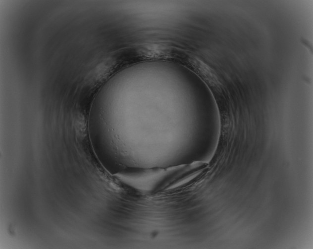 X0000093580469200710151148