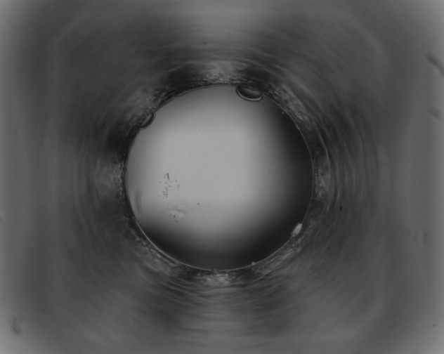 X0000093580473200710151148