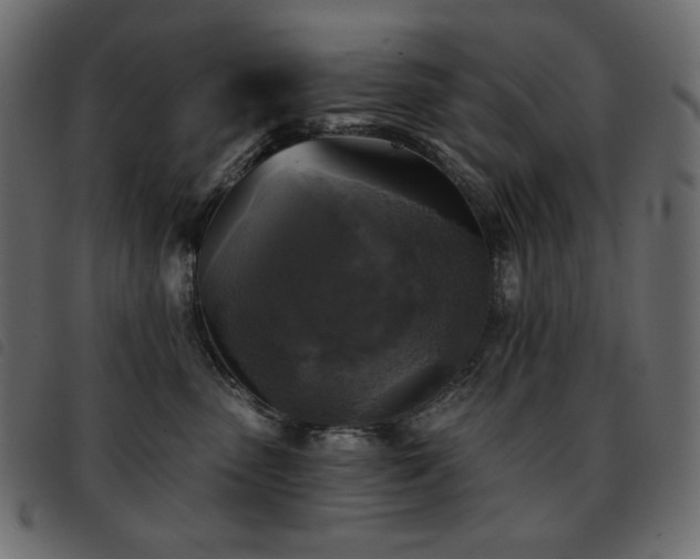 X0000093580475200710151148