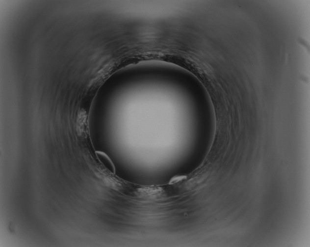 X0000093580480200710151148