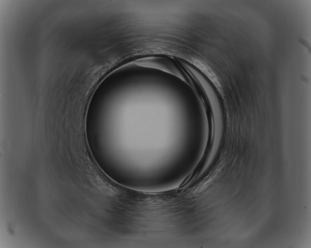 X0000093580481200710151148